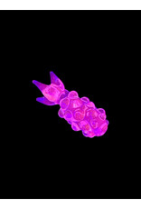 Goose Glass UV Pink Pineapple Pendant