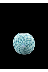 Marni Fillacello w/ opal white/teal ring