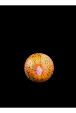 Marni  x Devadita orange w/ opal ring