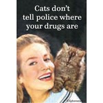 Magnet - Cats Don't Tell Police Where Your Drugs Are