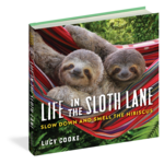 Book - Life In The Sloth Lane