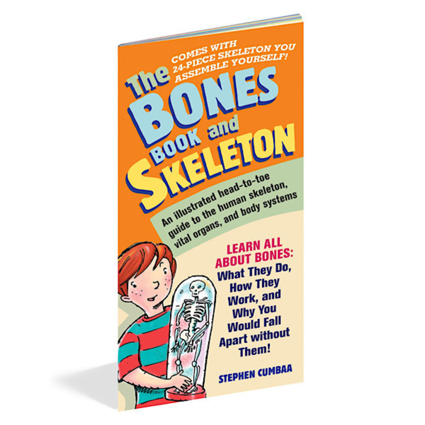 Book - The Bones Book And Skeleton