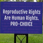 Bad Annie’s Sign (Yard) - Reproductive Rights Are Human Rights. Pro-Choice