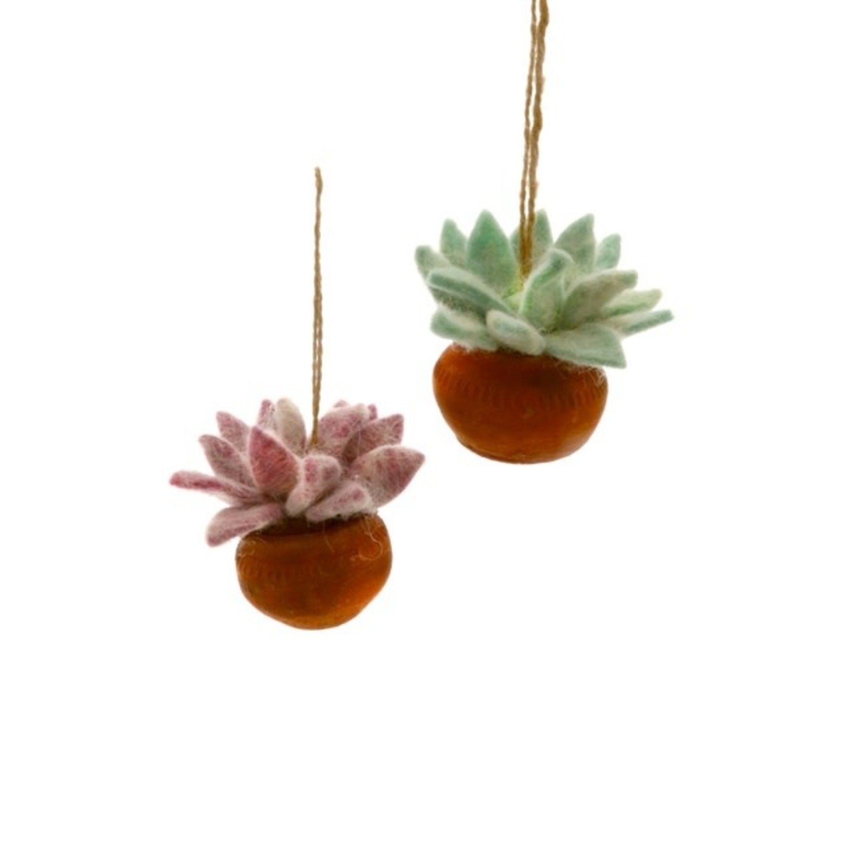 Ornament - Succulents Assorted