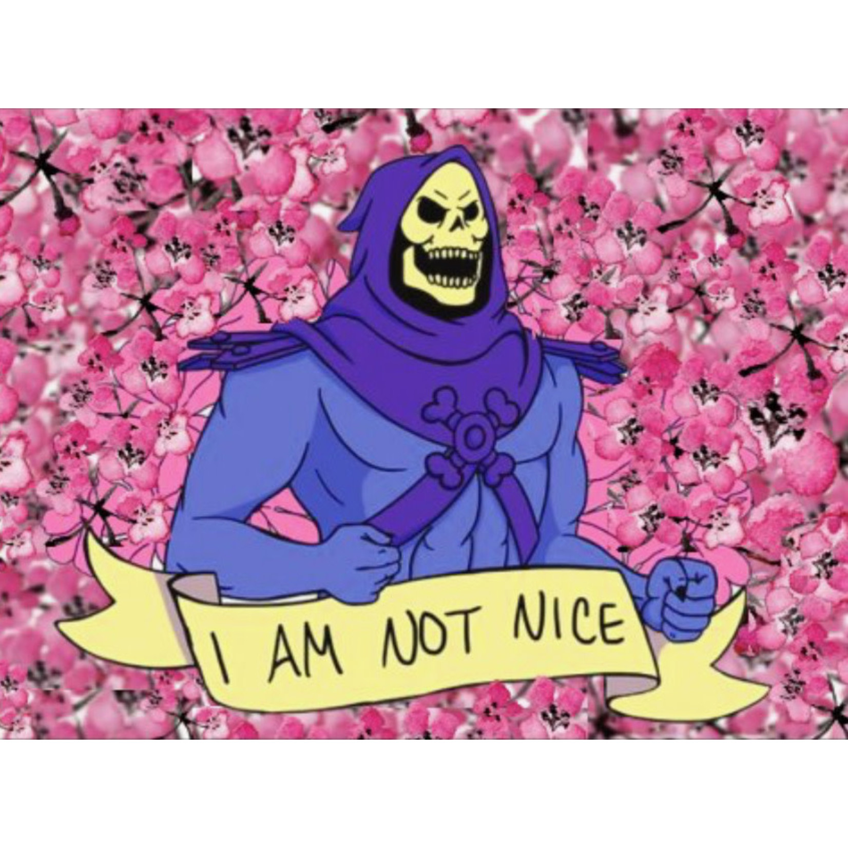 Bad Annie’s Sticker - Skeletor - I Am Not Nice