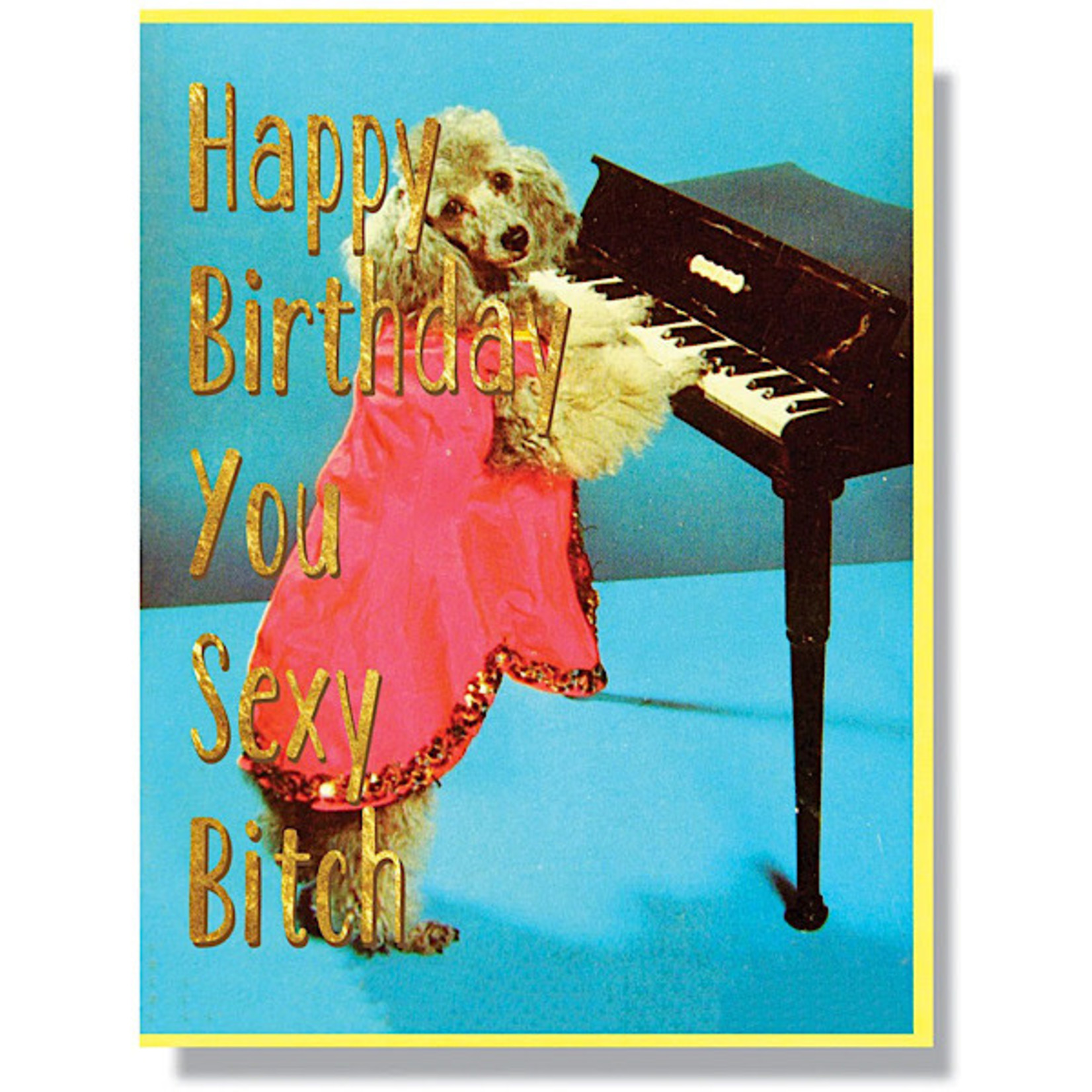 Card - Happy Birthday You Sexy Bitch