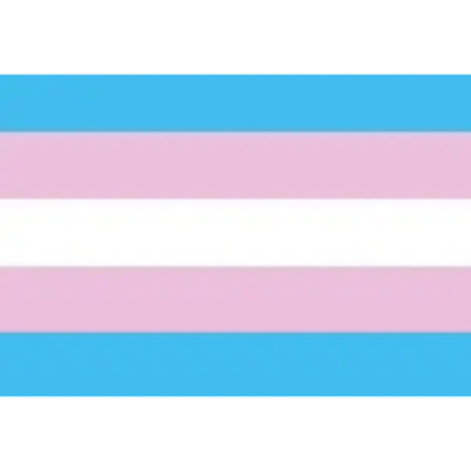 Magnet - Trans Flag