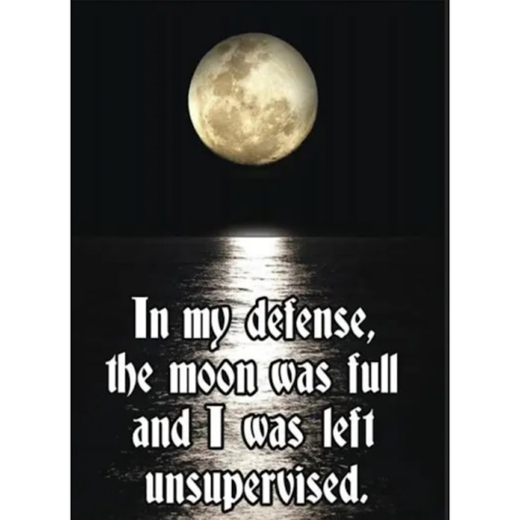Magnet - In My Defense, The Moon Was Full And I Was Left Unsupervised