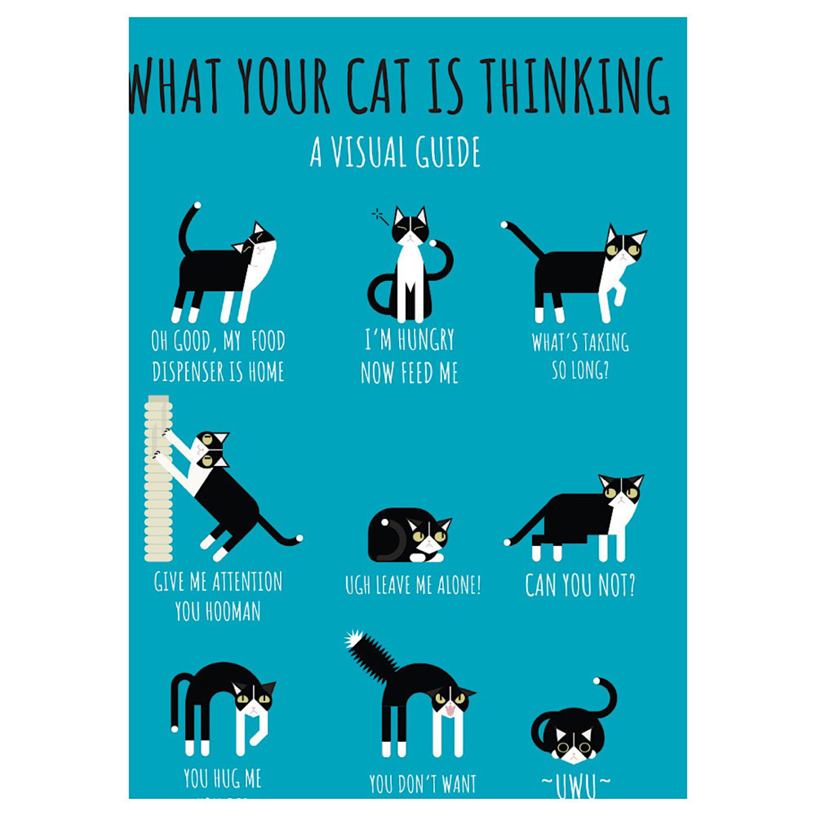 Magnet - What Your Cat Is Thinking