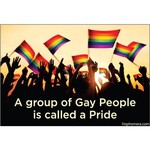 Magnet - A Group Of Gay  People Is Called A Pride