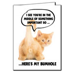 Card - I See You’re In The Middle Of Something Important So… Here’s My Bumhole