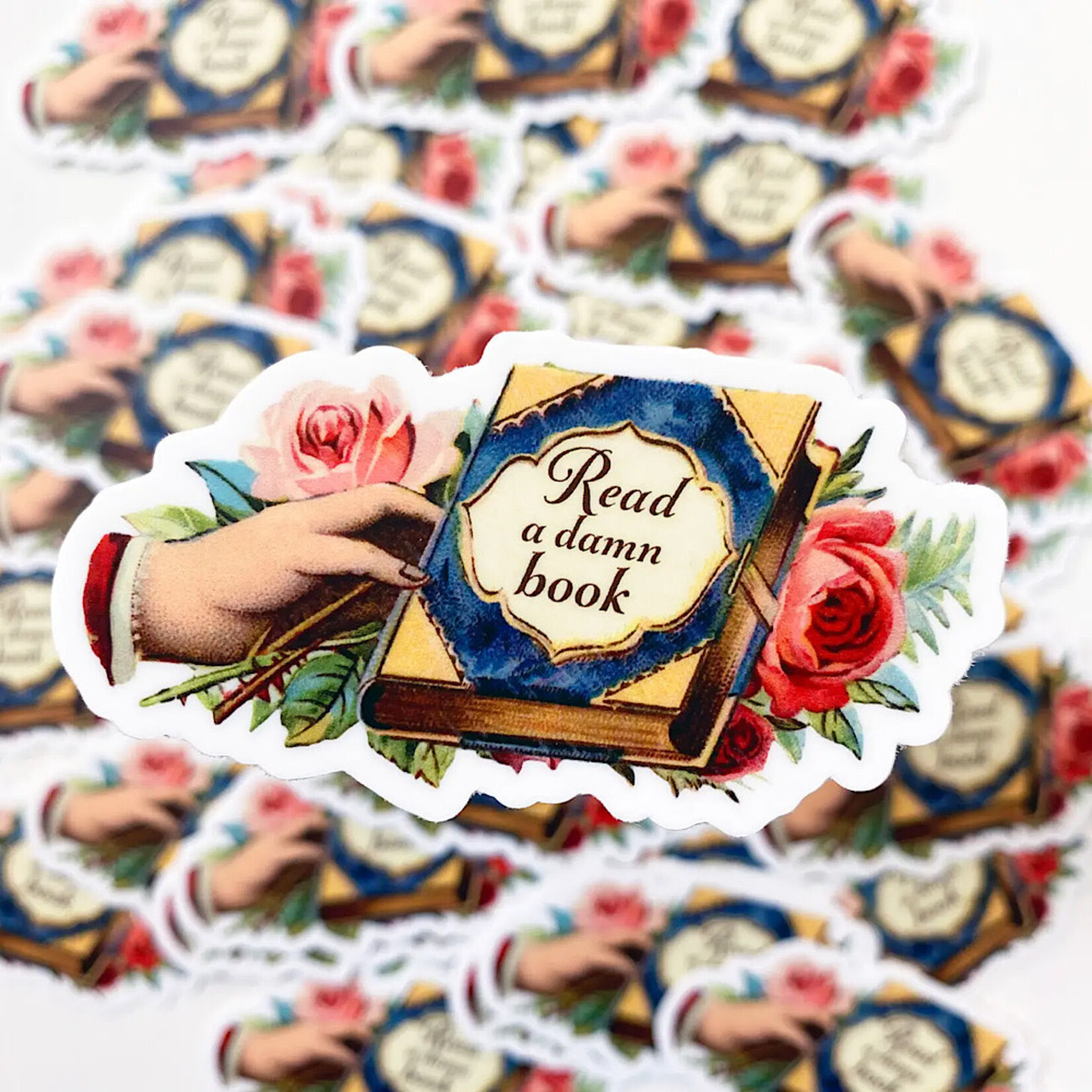 Sticker - Read A Damn Book