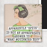 Magnet - Apparently SPITE Is Not An Appropriate Answer To What Motivates You