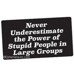 Sticker - Never underestimate the power of stupid people in large groups