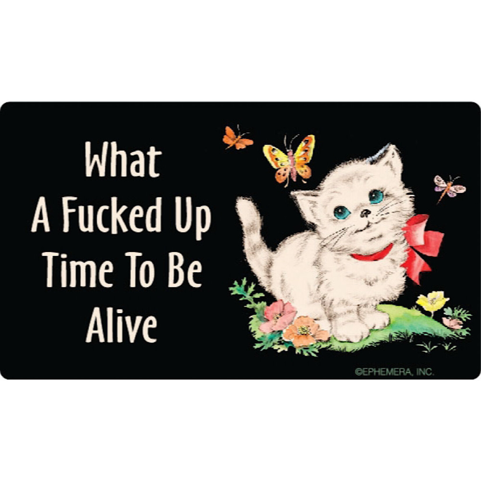 Sticker - What a fucked up time to be alive (cat)