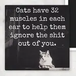 Magnet - Cats Have 32 Muscles In Each Ear To Help Them Ignore The Shit Out Of You
