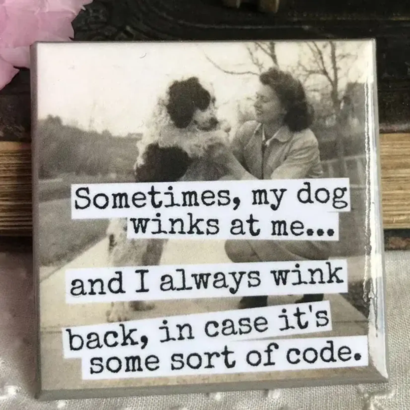Magnet - Sometimes, My Dog Winks At Me… And I Always Wink Back, In Case It’s Some Sort Of Code