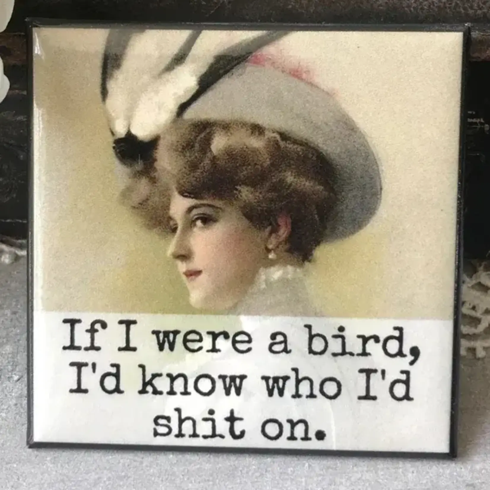 Magnet - If I Were A Bird, I’d Know Who I’d Shit On