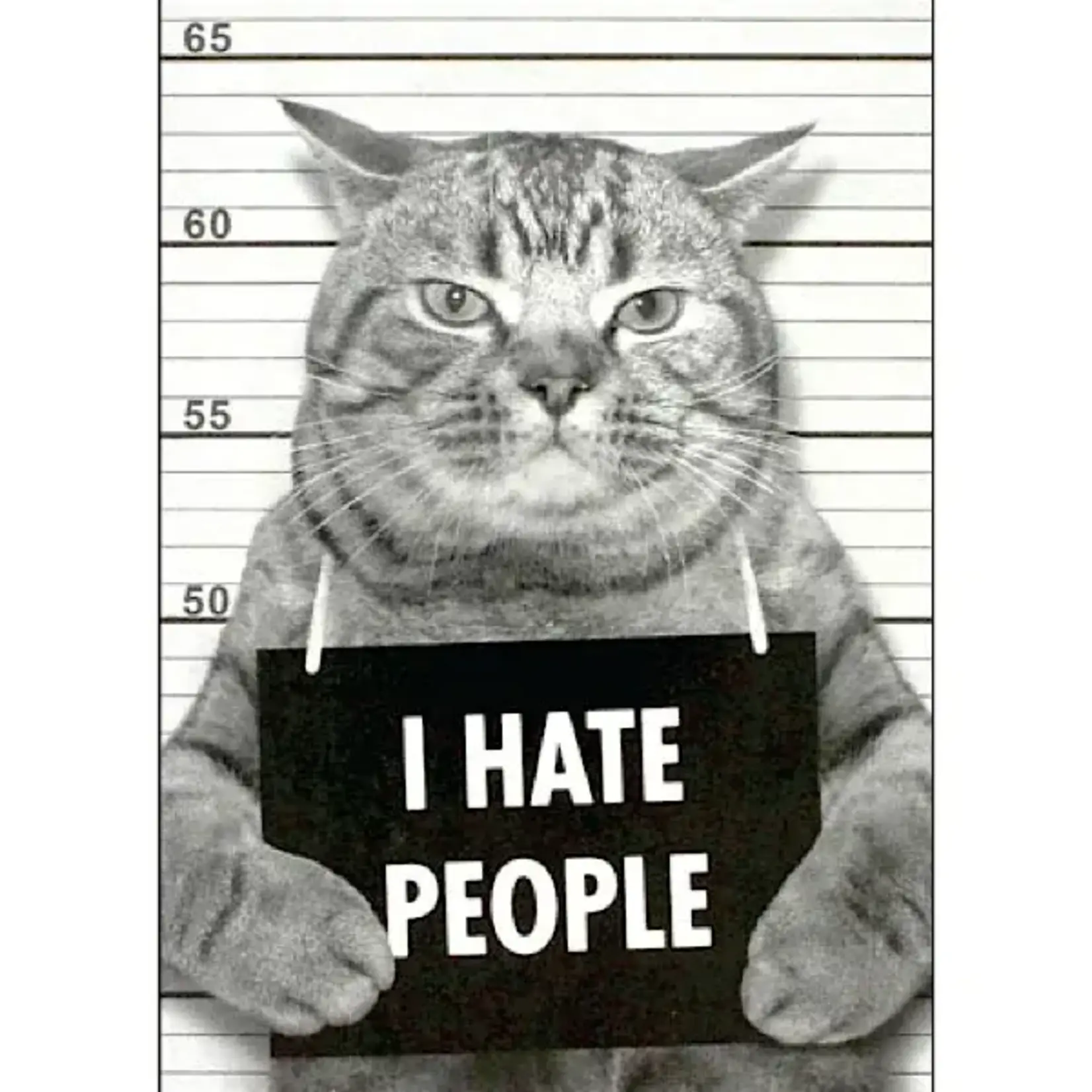 Magnet - I Hate People (Cat)