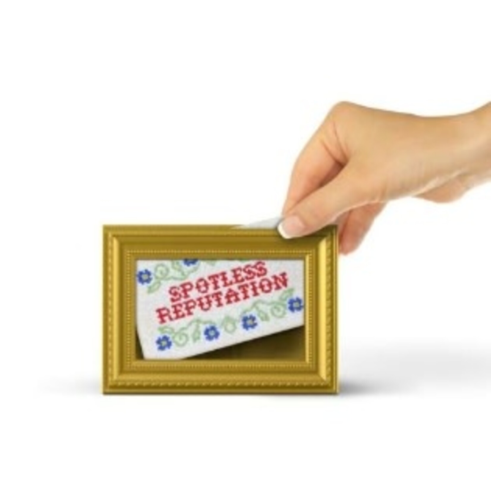 Sponge Holder - Picture Frame