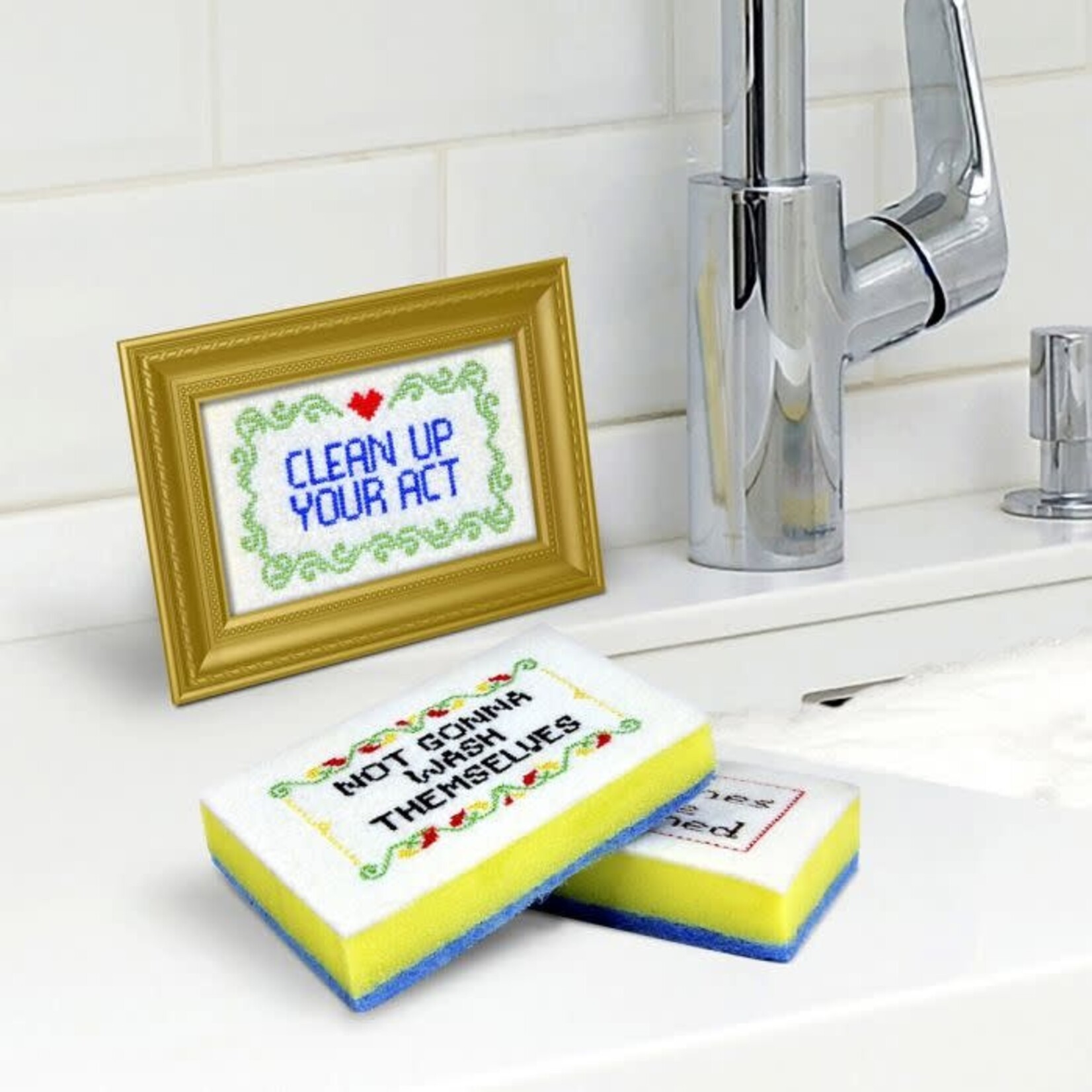Sponge Holder - Picture Frame