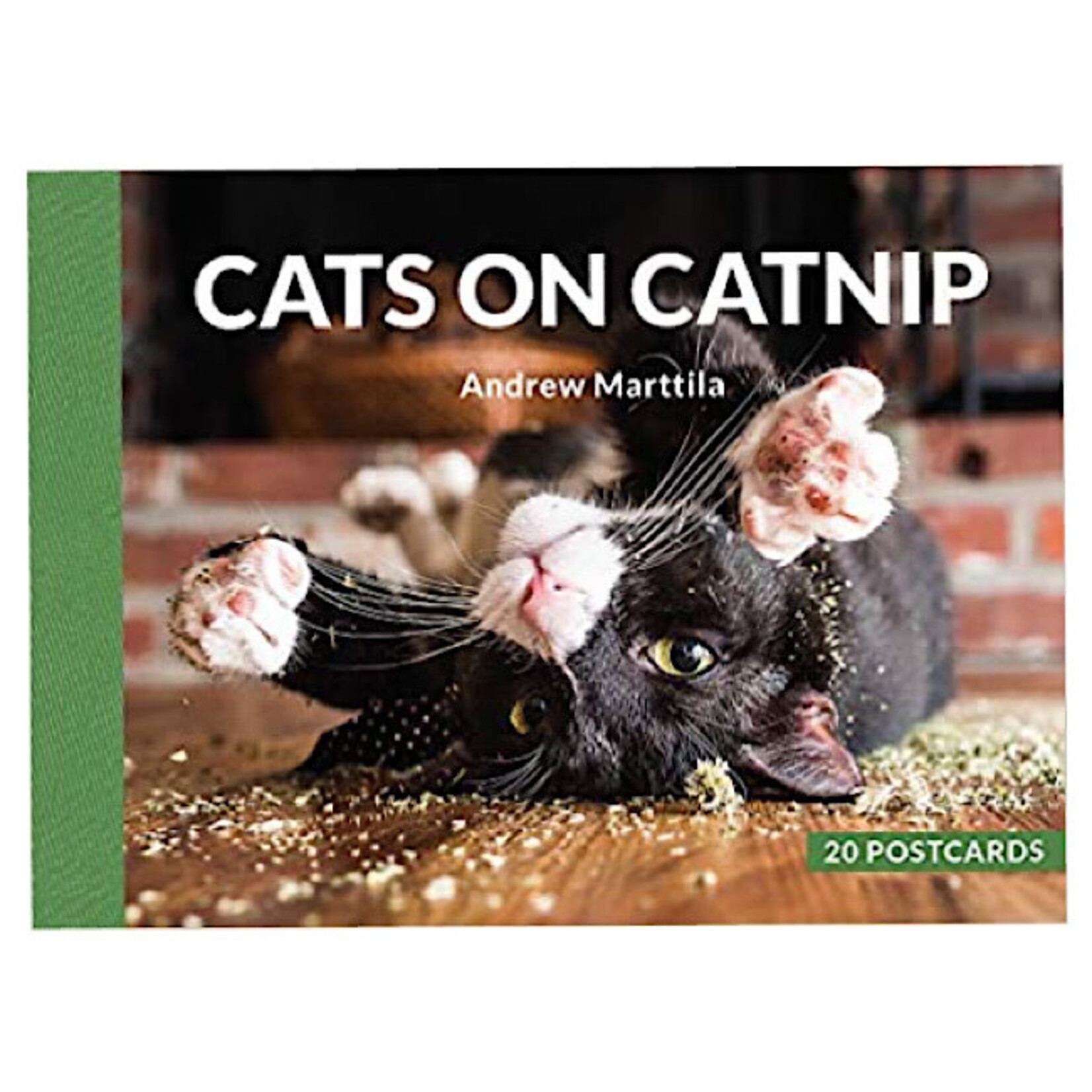 Book (20 Postcards) - Cats On Cat Nip
