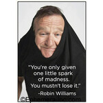 Magnet - You’re Only Given One Little Spark Of Madness. You Mustn’t Lose It. (Robin Williams)