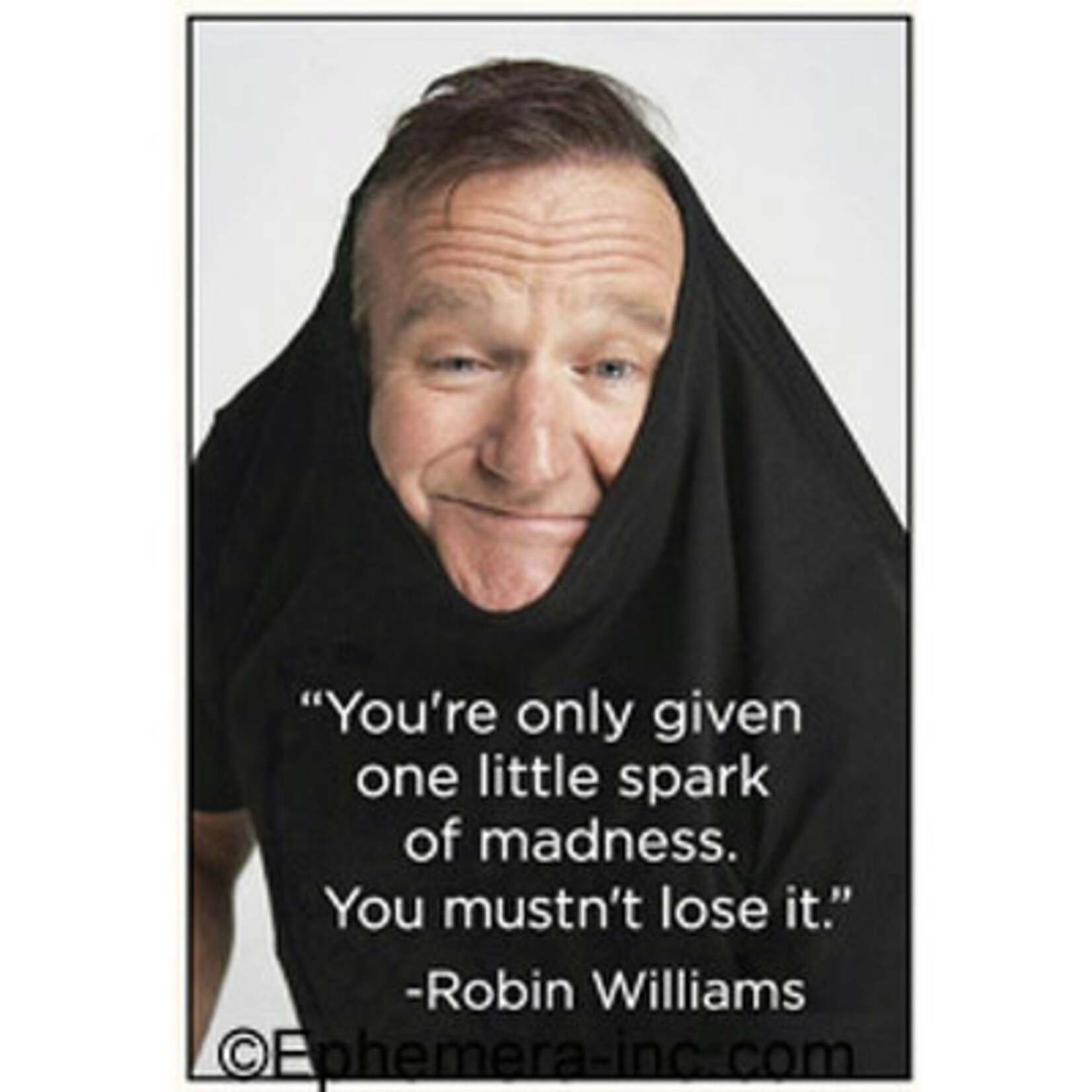 Magnet - You’re Only Given One Little Spark Of Madness. You Mustn’t Lose It. (Robin Williams)