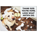 Magnet - Thank God You’re Home Look What Antifa Did