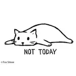 Magnet - Not Today (Cat)