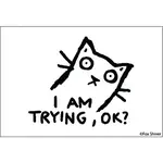Magnet - I Am Trying, Ok? (Cat)