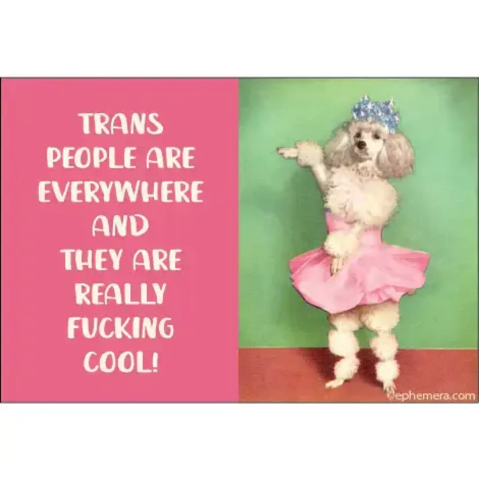 Magnet - Trans People Are Everywhere And They Are Really Fucking Cool! (Dog Ballerina)