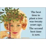 Magnet - The Best Time To Plant A Tree Was Twenty Years Ago. The Second Best Time Is Now.