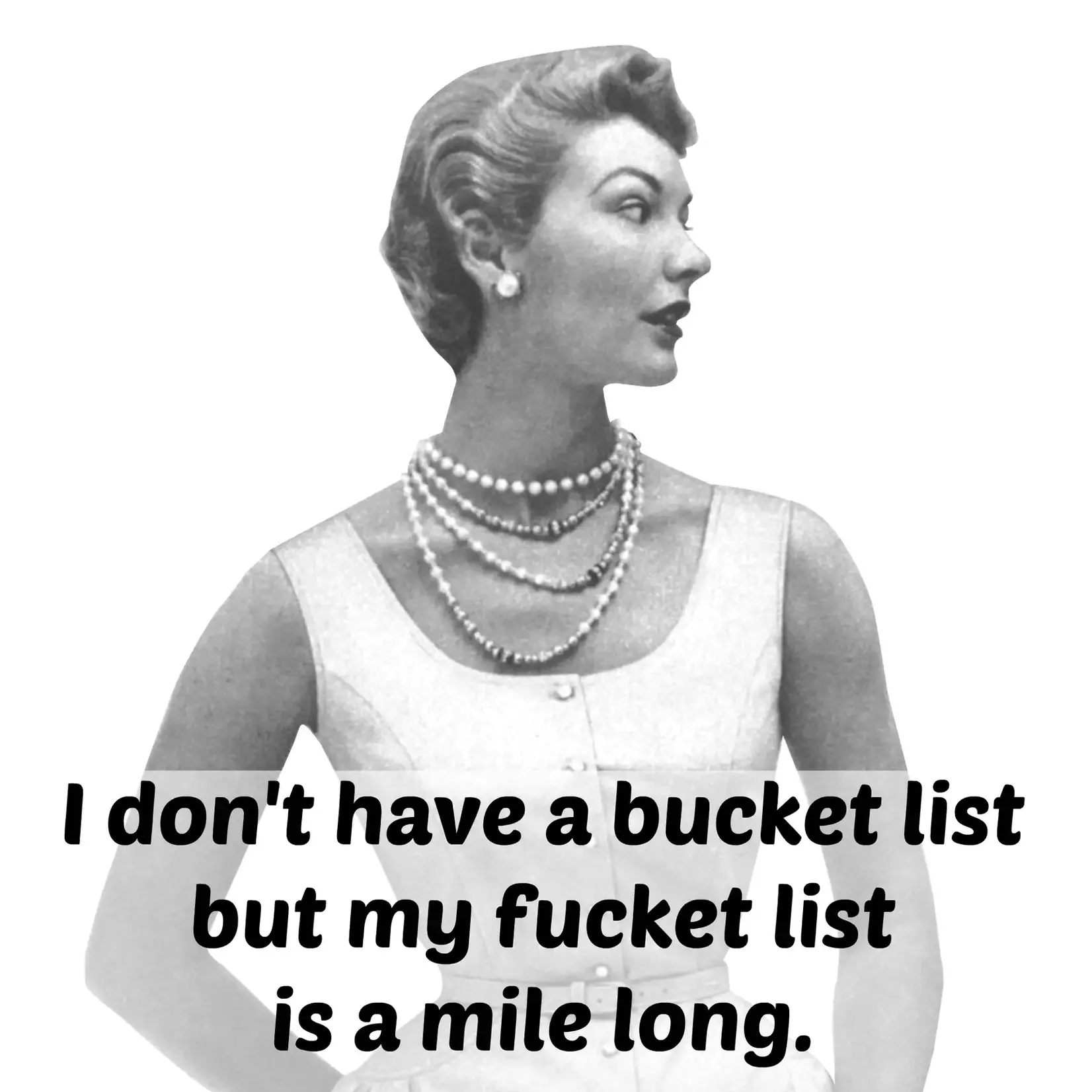 Magnet - I Don’t Have a Bucket List But My Fucket List Is A Mile Long