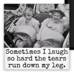 Magnet - Sometimes I Laugh So Hard The Tears Run Down My Leg