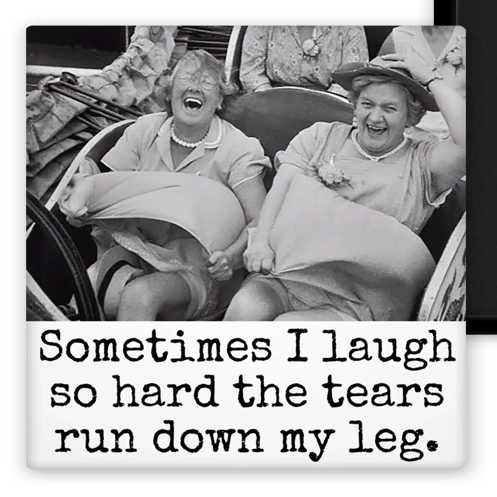 Magnet - Sometimes I Laugh So Hard The Tears Run Down My Leg