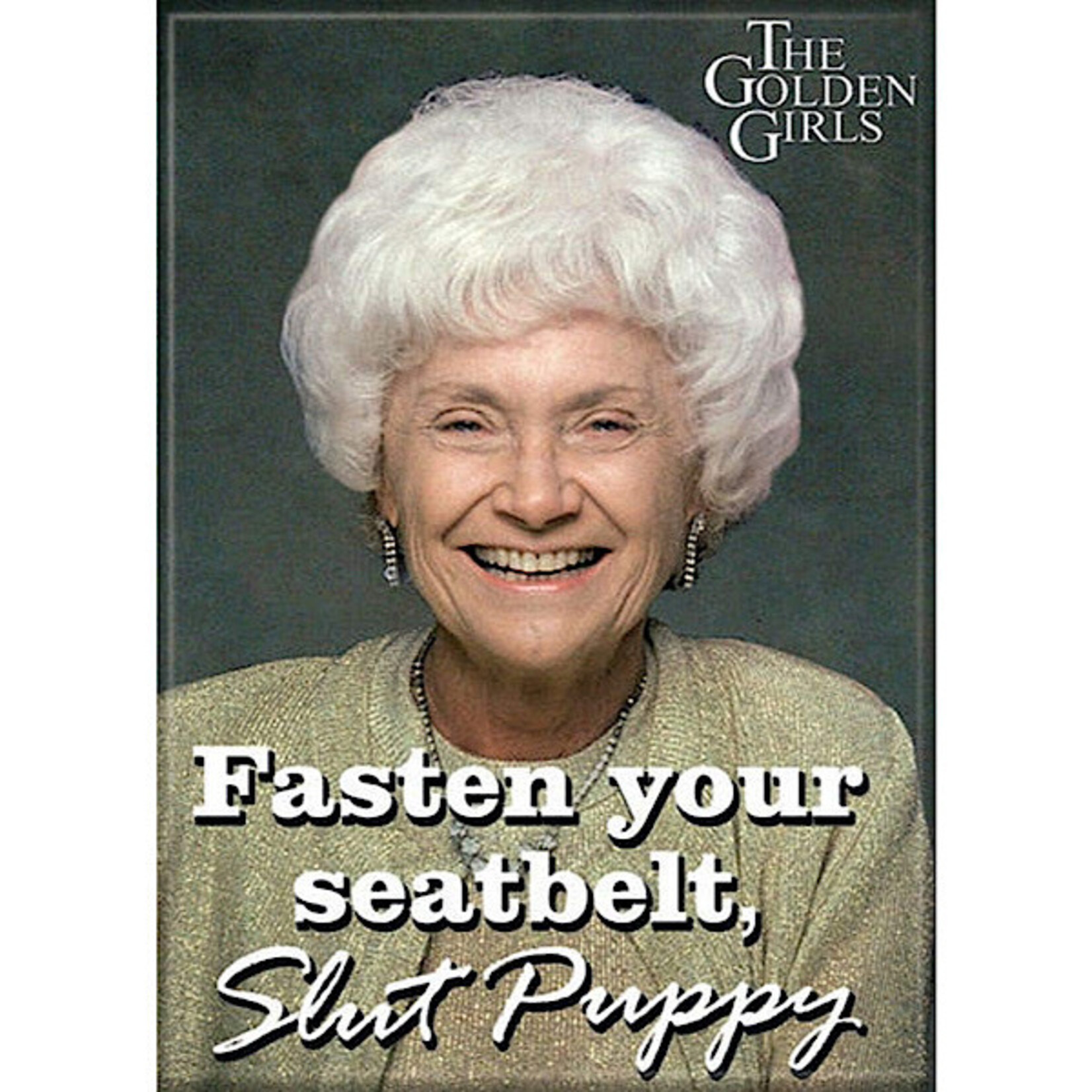Magnet - Fasten Your Seatbelt, Slut Puppy (Sophia The Golden Girls)