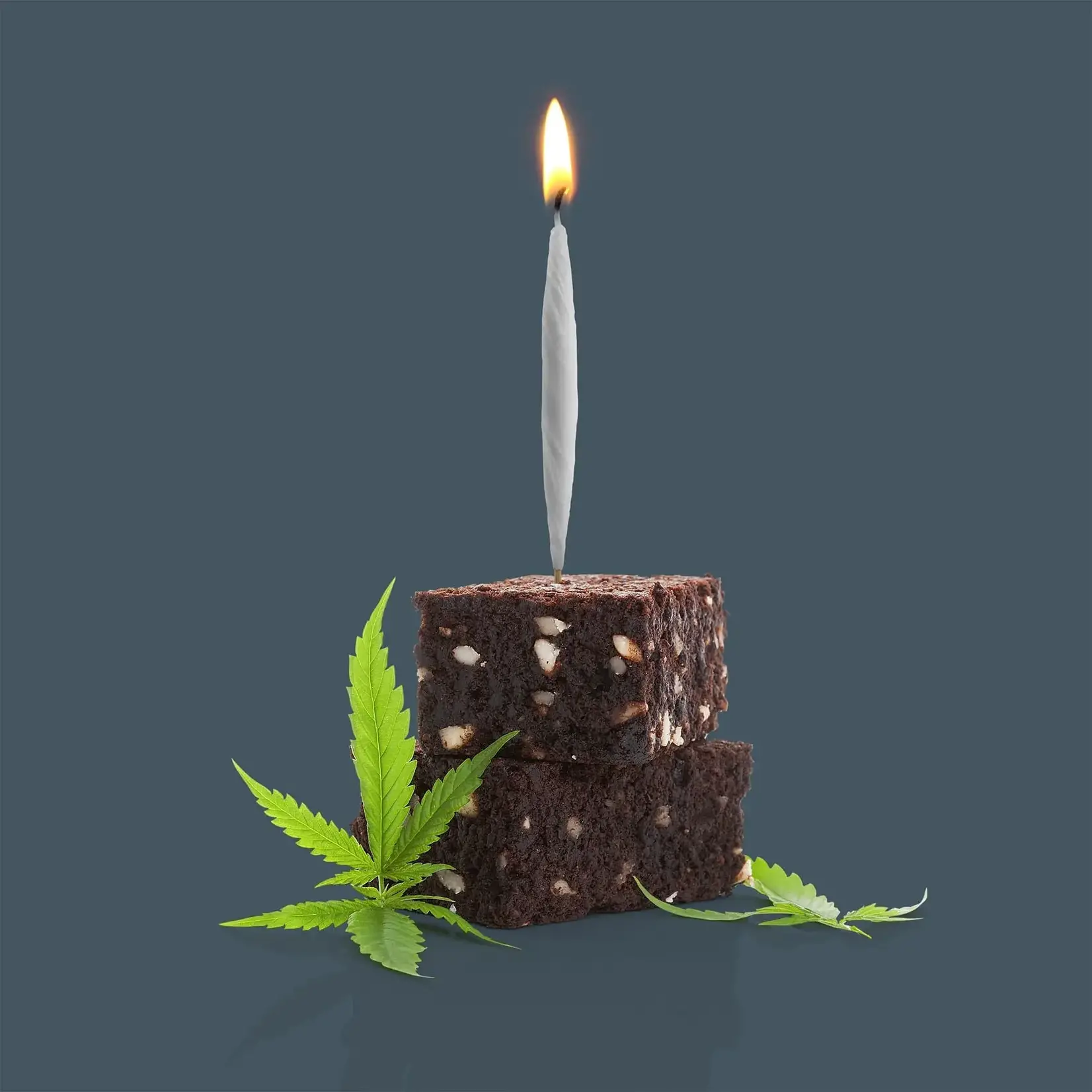 Candles (8 Pack) - Joints