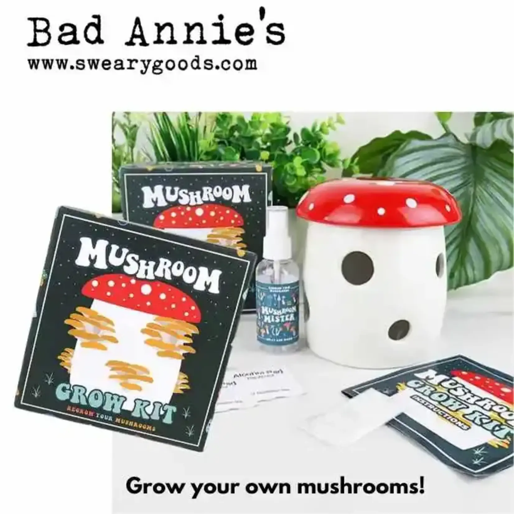 Grow Kit - Mushroom