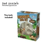 Dinosaur Dig Kit With Tools