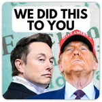 Sticker - "We Did This To You" - Trump & Musk