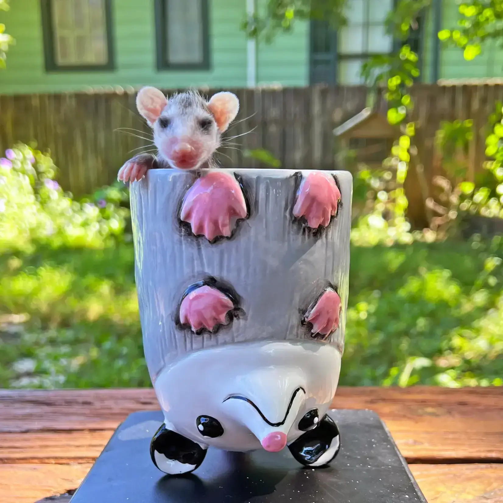 Mug - XL Opossum
