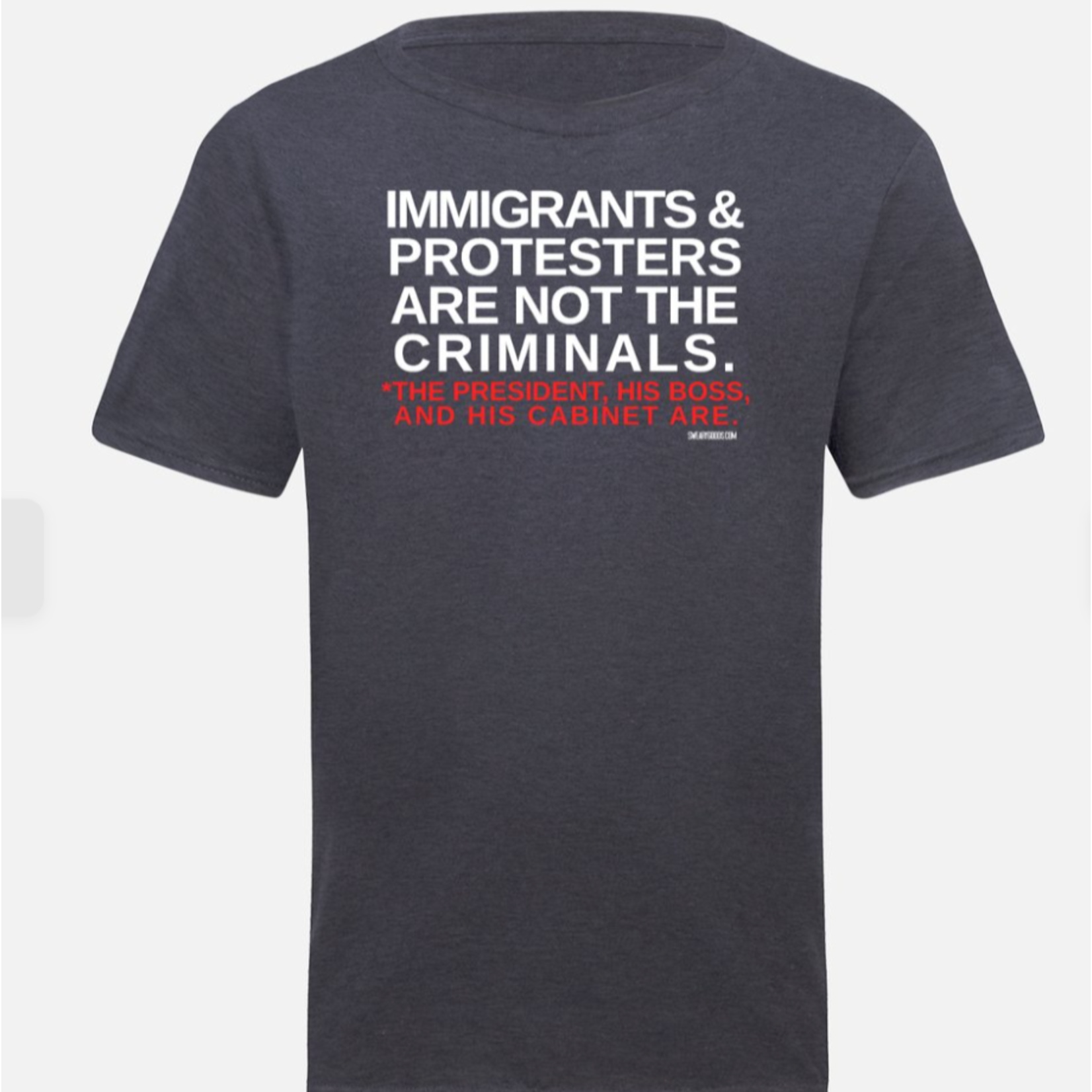T-Shirt - Immigrants & Protesters Are Not Criminals, But The President, His Boss, And His Cabinet Are