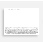 Postcard - Gulf Of Mexico Forever