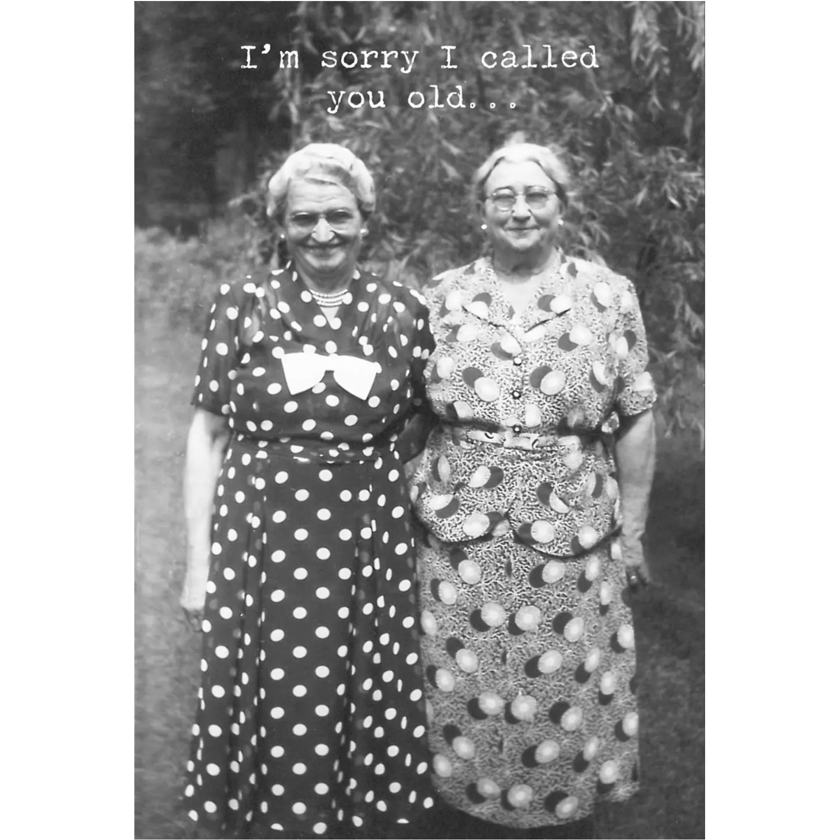 Card - I'm Sorry I Called You Old... Inside: I Thought You Knew.