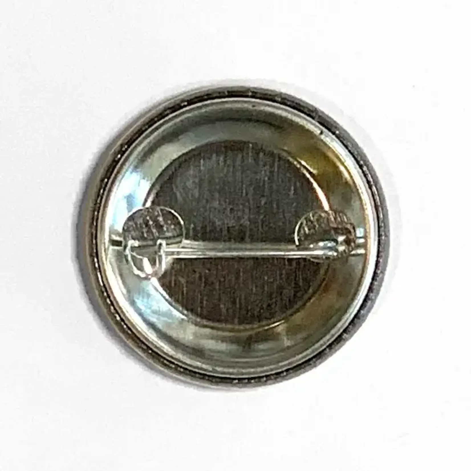 Pin - Stop Electing Assholes