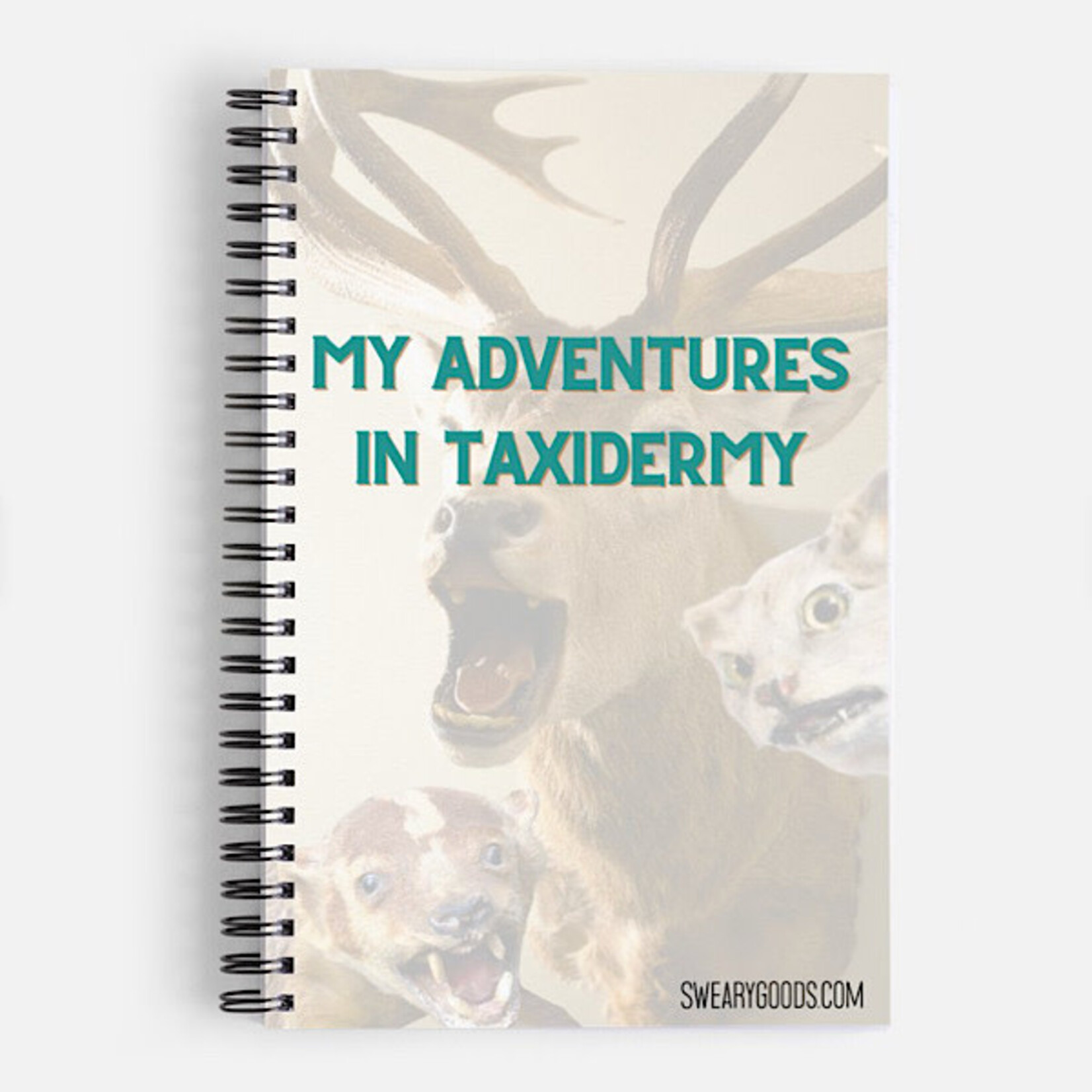 Bad Annie’s Notebook - My Adventures In Taxidermy