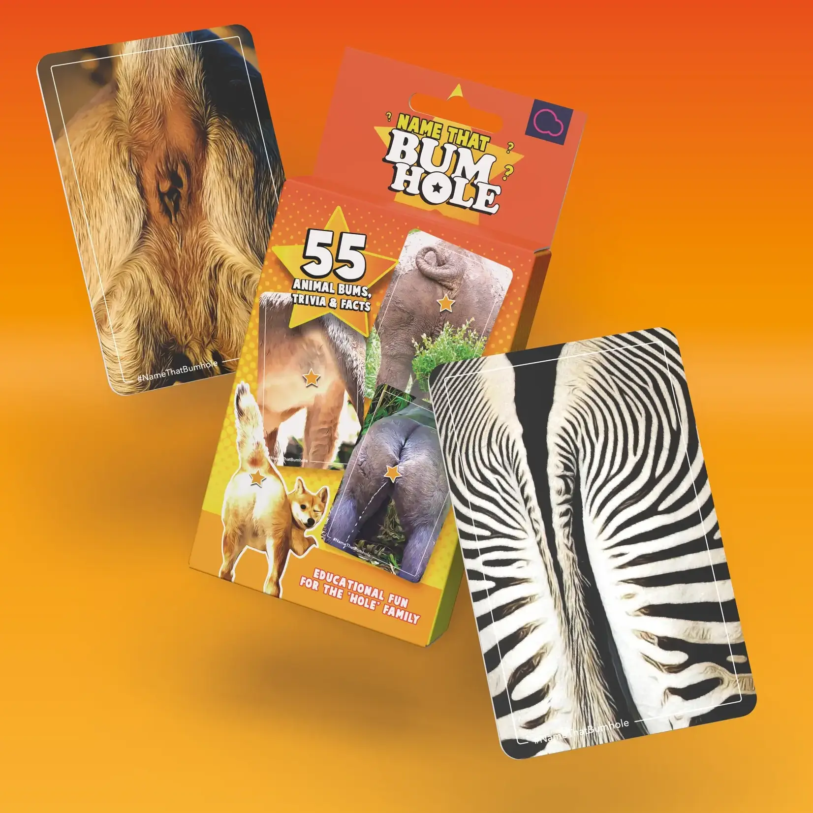 Game - Name That Bum Hole