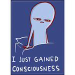 Magnet - I Just Gained Consciousness