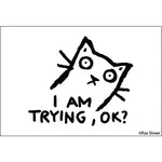 Magnet - I Am Trying, OK? (Cat)